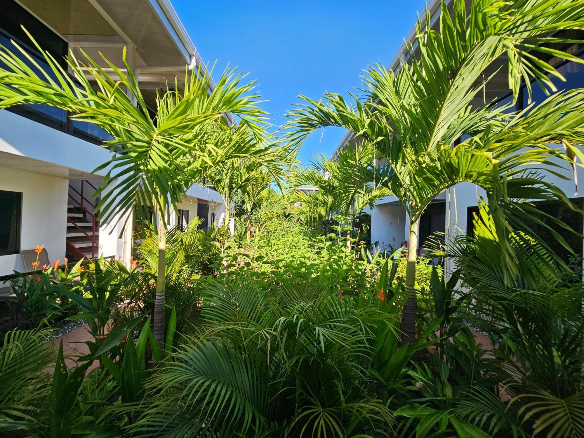 Ballena Rey Hotel Uvita Exterior foto